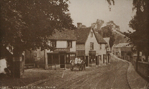 Beehive pub
